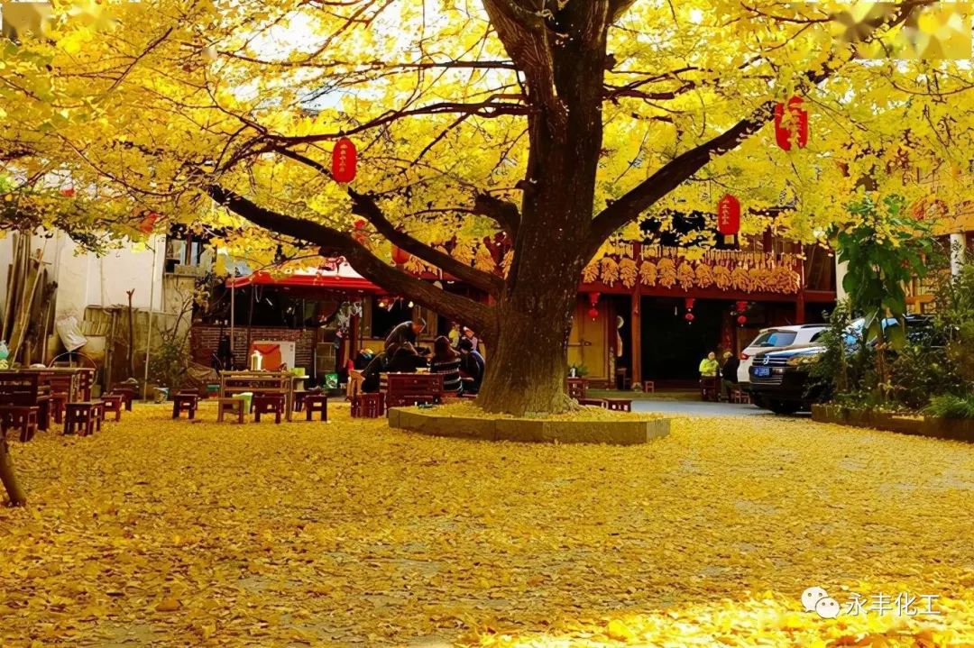 七彩云南，邂逅浪漫